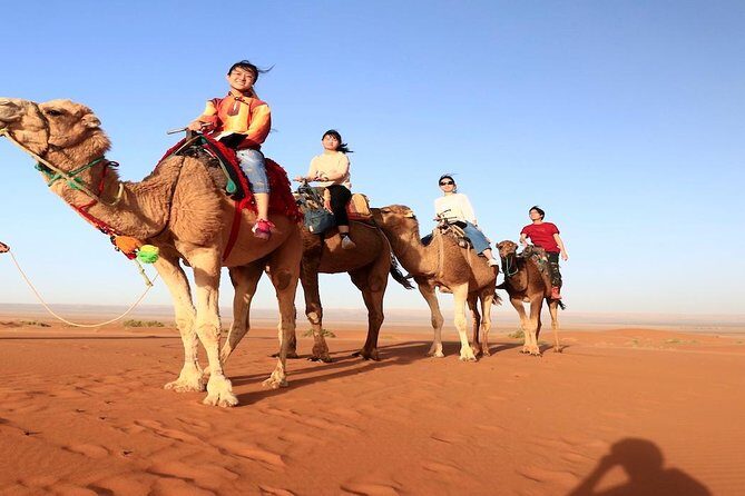 Fes to Fes 2 days Desert Tours - Authentic Experiences and Practicalities