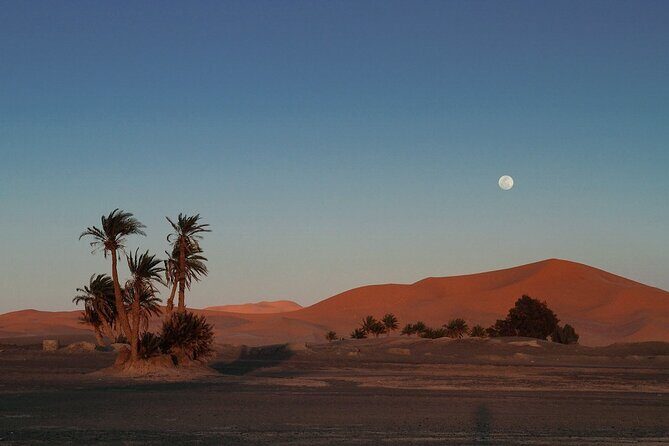 Fes to Fes 2 days via Merzouga desert tour - Authentic Experiences and Travel Insights