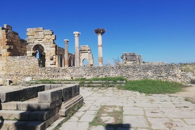 Fes to Volubilis, Moulay Idriss and Meknes Private Day Trip - What’s Included and What’s Not
