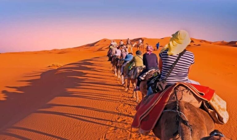 Fez: 2 Day-1 Night Luxury Sahara Desert Trip to Fez/Marakech - What to Expect in Terms of Comfort and Value