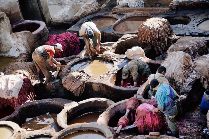 Fez Cultural Tour -With Local Guide - What Travelers Can Expect