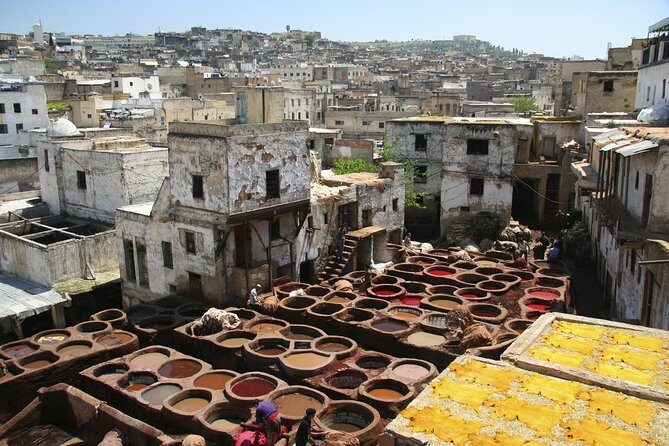Fez Guided Day Tour from Casablanca - Authentic Experiences and Useful Insights from Reviews