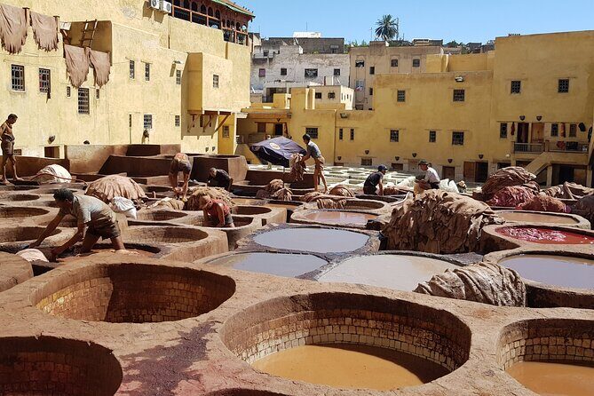 Fez guided Tour with a Local Guide - Who Will Benefit Most?