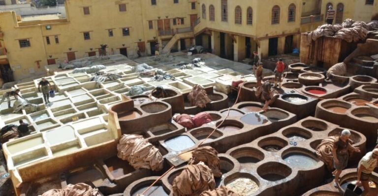 Fez: Half-Day City Private Walking Tour with a Guide - What to Expect from Your Fez Tour