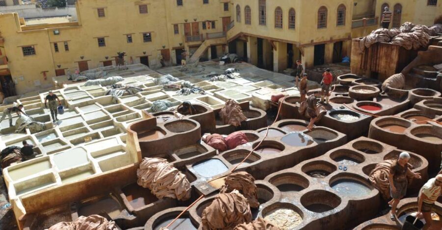 Fez: Half-Day City Private Walking Tour with a Guide - What to Expect from Your Fez Tour