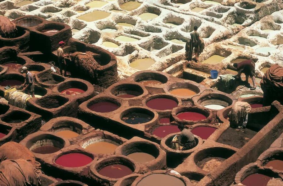 Fez: Moroccan Rug Weaving Experience - The Inclusion and Practical Details