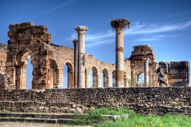 Fez to Meknes,Moulay Idriss & Volubilis Day Trip - Transportation & Group Size