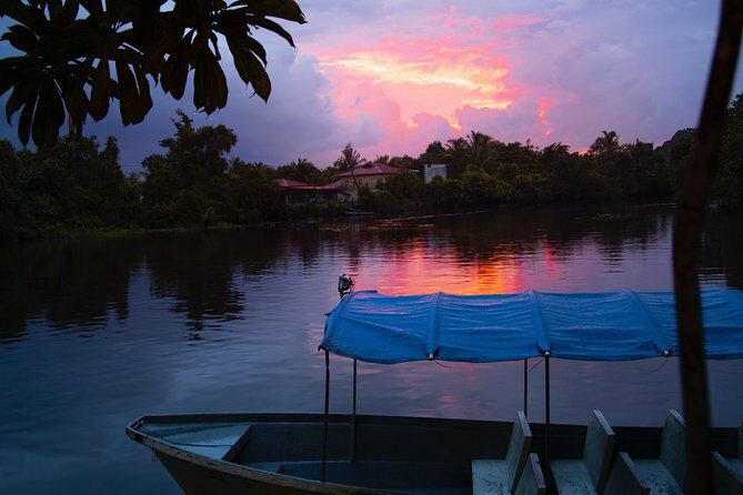 Fireflies Tour in Cherating - Who Should Consider This Tour?