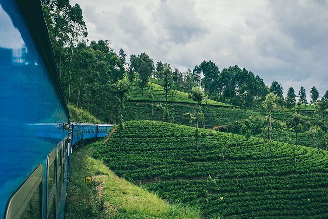 First Class Scenic Train Ticket From Kandy To Ella - The Experience in Context: Why It Matters