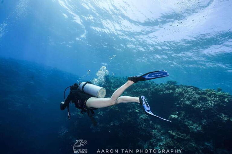 Fisheye Divers: Discover Scuba Diving - The Sum Up