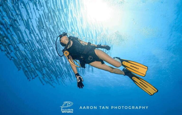 Fisheye Divers: PADI Open Water Course - Authentic Feedback from Participants