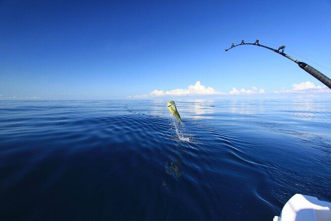 Fishing and Snorkelling by Speedboat Tour - Hurghada - Authenticity and Food Experience