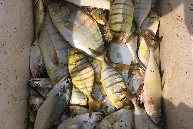 Fishing Trip - Who Will Love This Tour?