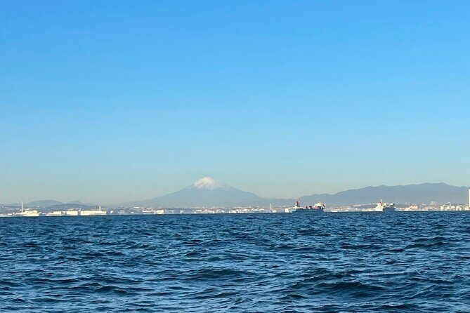 Fishing with Mt. Fuji Views and Japanese Home Cooking Experience - Scenic Views and Mount Fuji