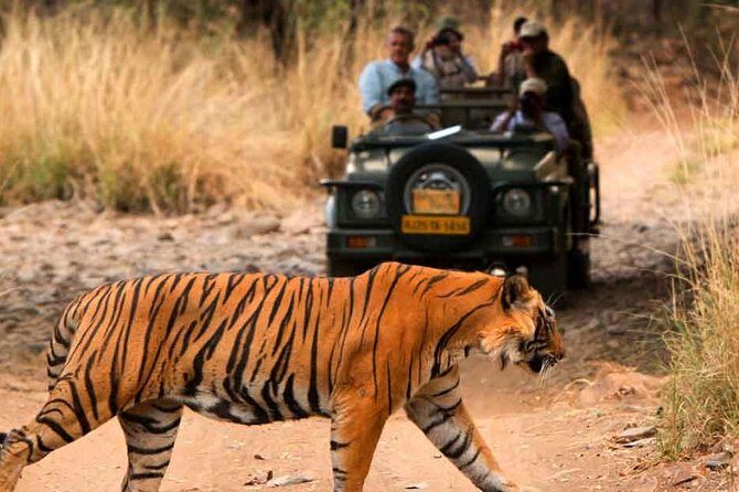 Five Days Golden Triangle Tour with Ranthambore Delhi Agra Jaipur - What You’ll Love About the Tour