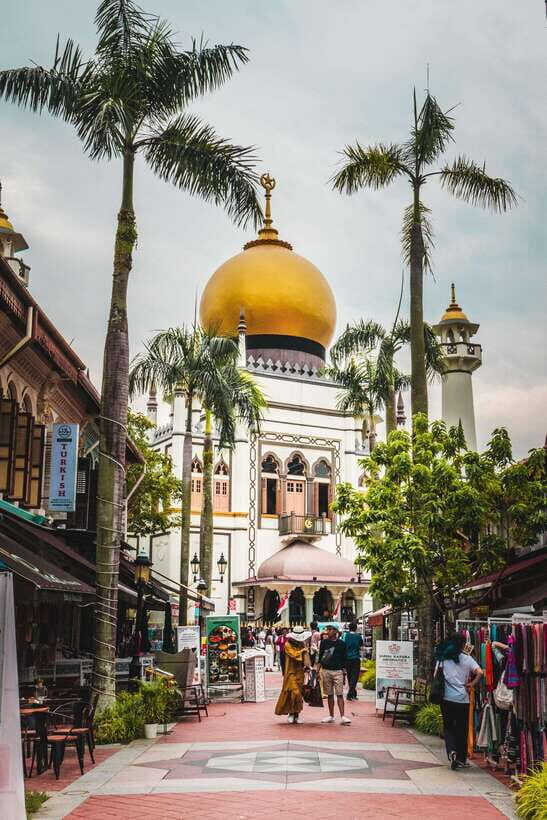 Flagship Singapore Cultural City Tour - An Introduction to the Tour Experience