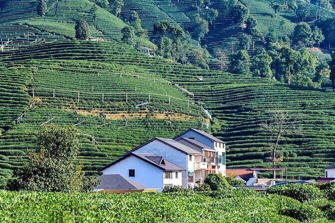 Flexible Hangzhou Private Tour from Shanghai by Bullet Train - Overall Experience: A Well-Organized, Authentic Day in Hangzhou
