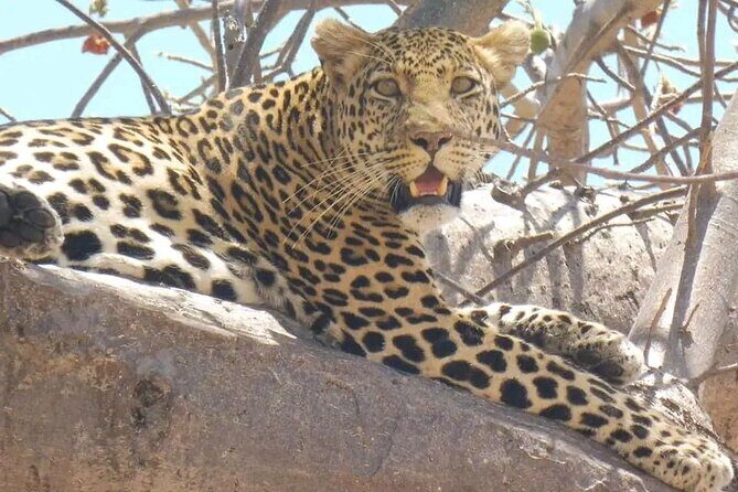 Flight Package Zanzibar to Nyerere National Park (Selous GR) 3 Days 2 Nights - What Travelers Say
