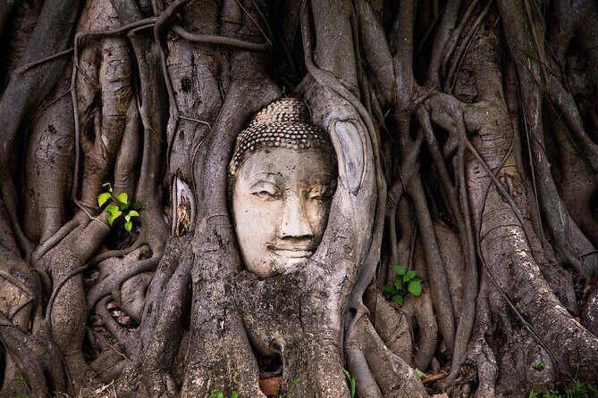 Floating Market and Ayutthaya Guided Day Tour from Bangkok - The Sum Up