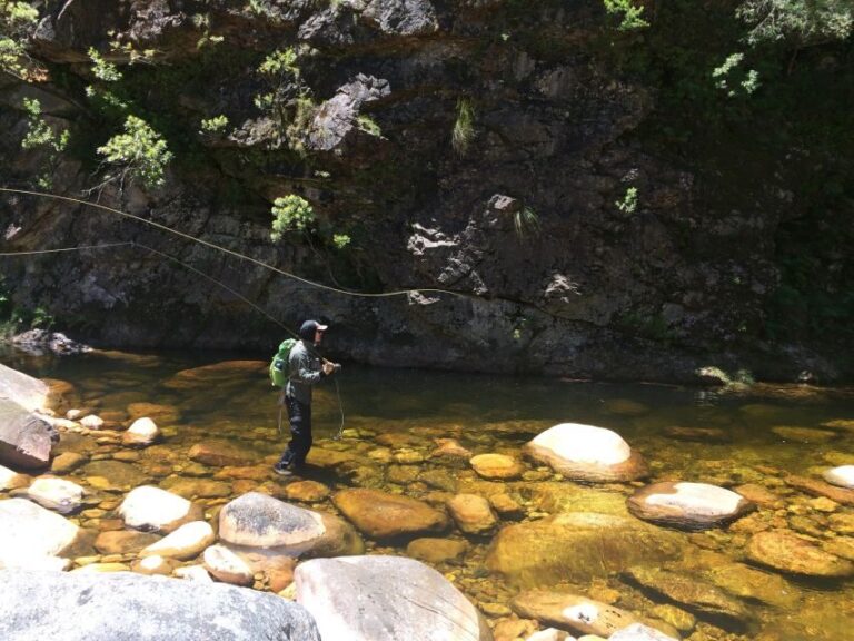 Fly Fishing in Cape Town - The Guide and Conservation