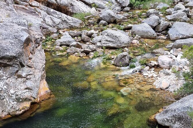 Fly Fishing in Cape Town for Five Hours - Practical Considerations and Value