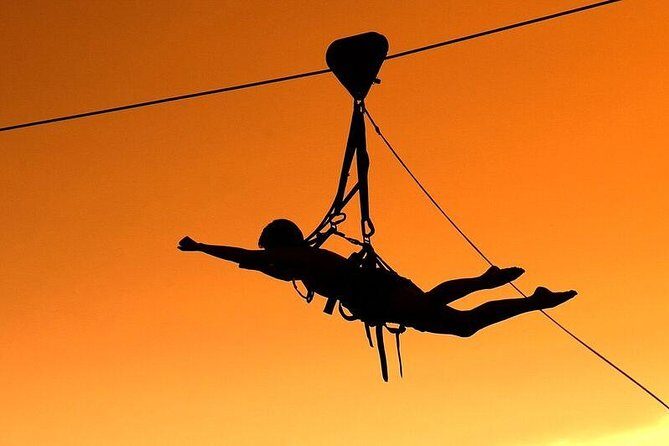 Flying Fox (Zimbabwe) - Why This Tour is a Good Deal
