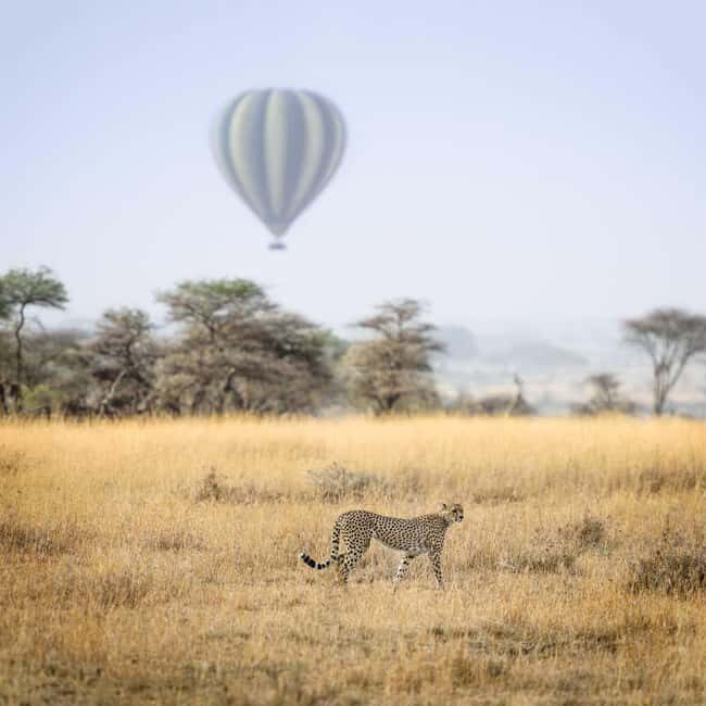 Four days Serengeti balloon - The Value of the Experience