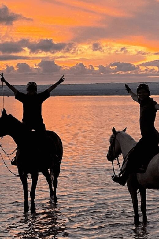 Franschhoek: 2h Horseback Riding at Sunset with Sundowners - The Itinerary Breakdown