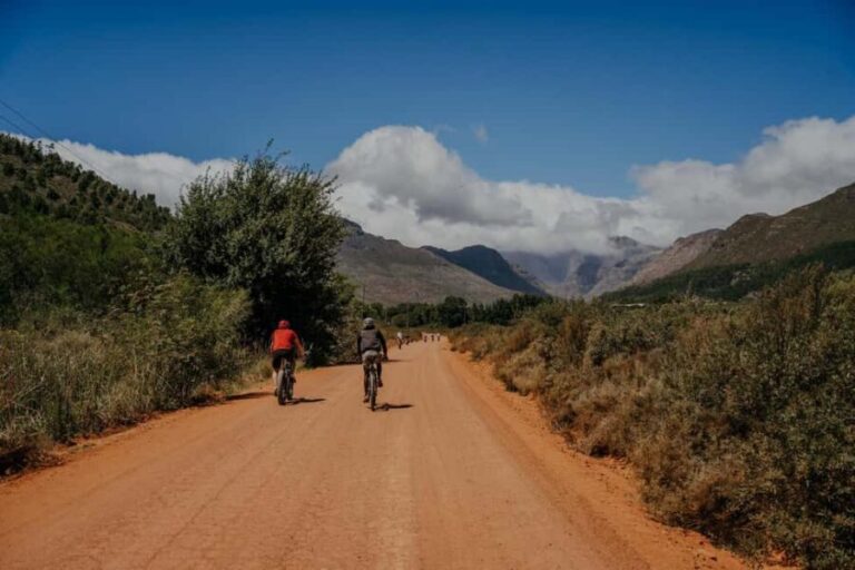 Franschhoek: E-Bike Guided Winery Tour - Authenticity and Guides