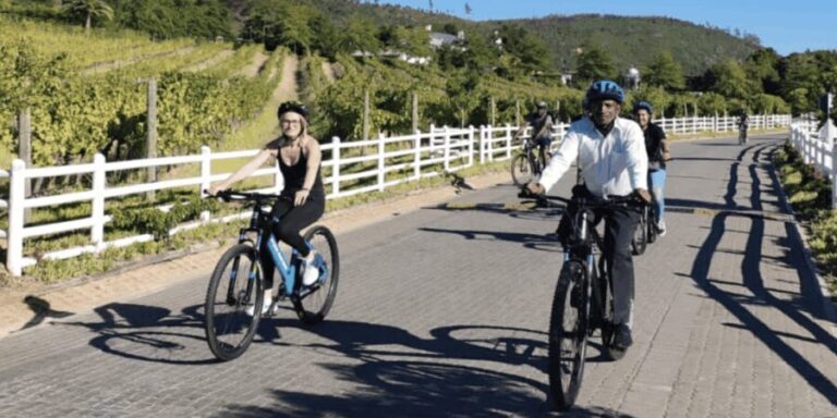 Franschhoek: E-Bike & Wine Tour (Shared Tour) - What’s Included and What’s Not