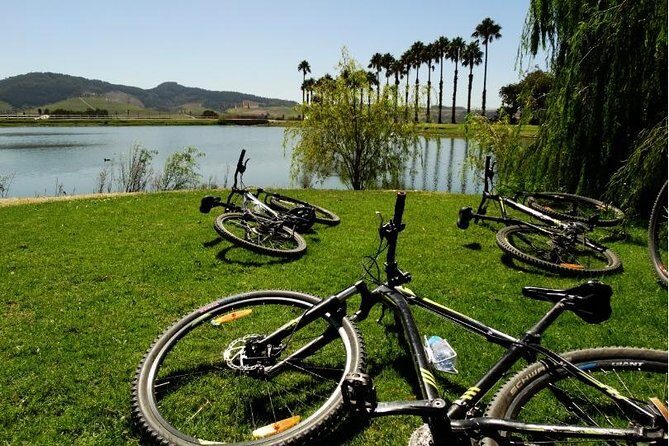 Franschhoek Half Day Winelands Mountain Bike Tour - The Ride: Challenging Trails and Scenery