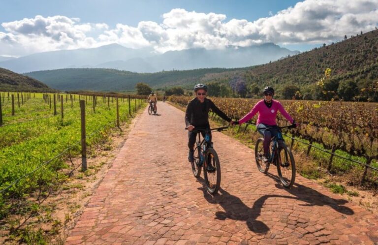 Franschhoek: Private E-bike Ride & Wine Experience - What’s Included and Practical Details