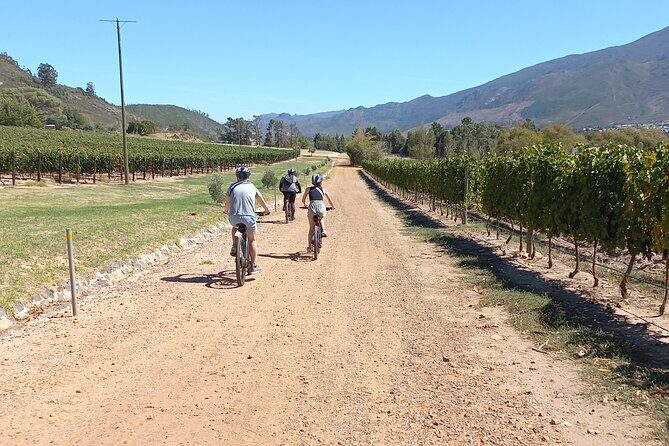 Franschhoek Shared E-Bike and Wine Tour - The Sum Up