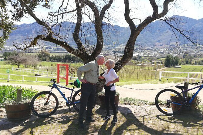 Franschhoek Sip & Cycle Experience Full Day - Private Tour - What to Expect on Your Franschhoek Sip & Cycle Day