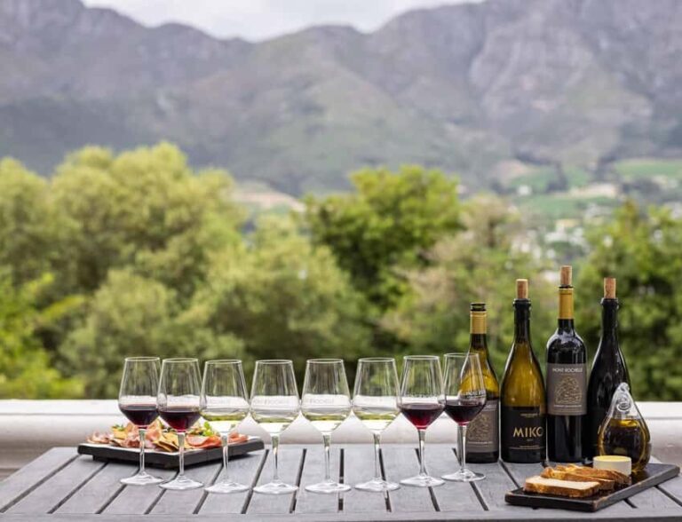 Franschhoek: Wine Tram Hop-On Hop-Off Tour - Who This Tour Is Perfect For