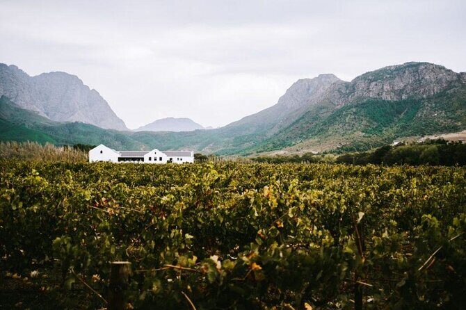 Franschhoek Wine Tram Hop-On Hop-Off Tour from Cape Town. - Why This Tour Offers Great Value