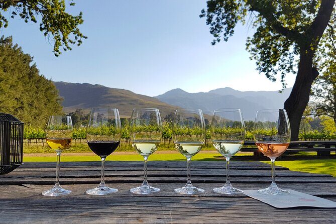 Franschhoek wine Tram & Stellenbosch Town Full day tour - What Makes This Tour Stand Out