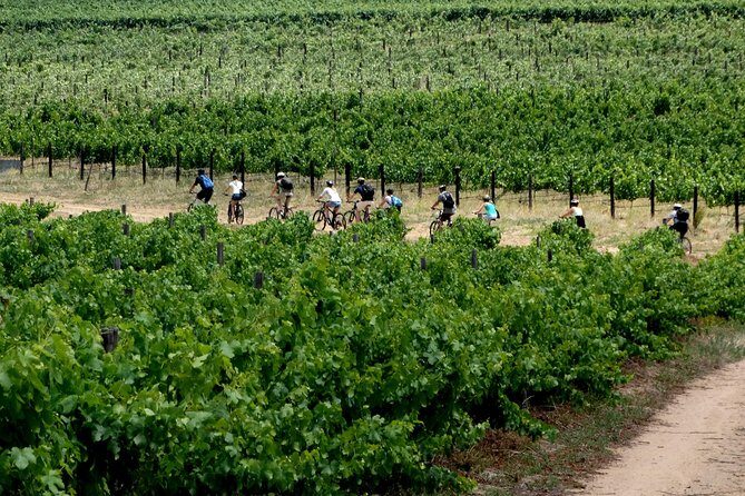Franschhoek Winelands Luxury EBike Tour - The Itinerary: What to Expect