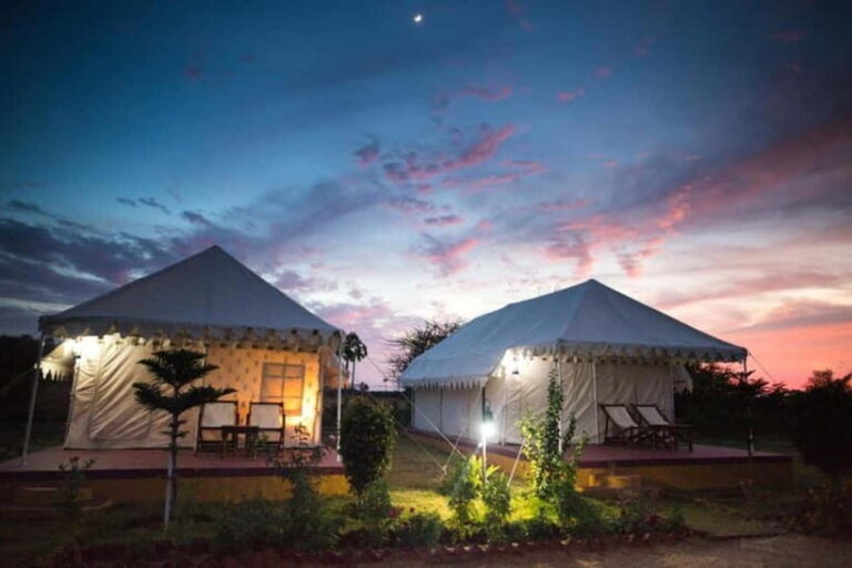 Frenzy Paradise Overnight Thar Desert Camping Tour - An In-Depth Look at the Tour Experience