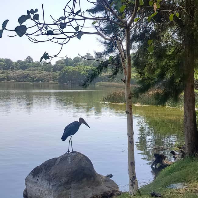 From Addis Ababa: Bisheftu Lake Side Tour - Final Thoughts