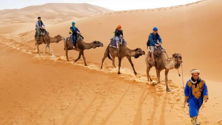 From Agadir : 4-Day Private Desert Trip to Zagora & Merzouga - Why This Tour Offers Great Value
