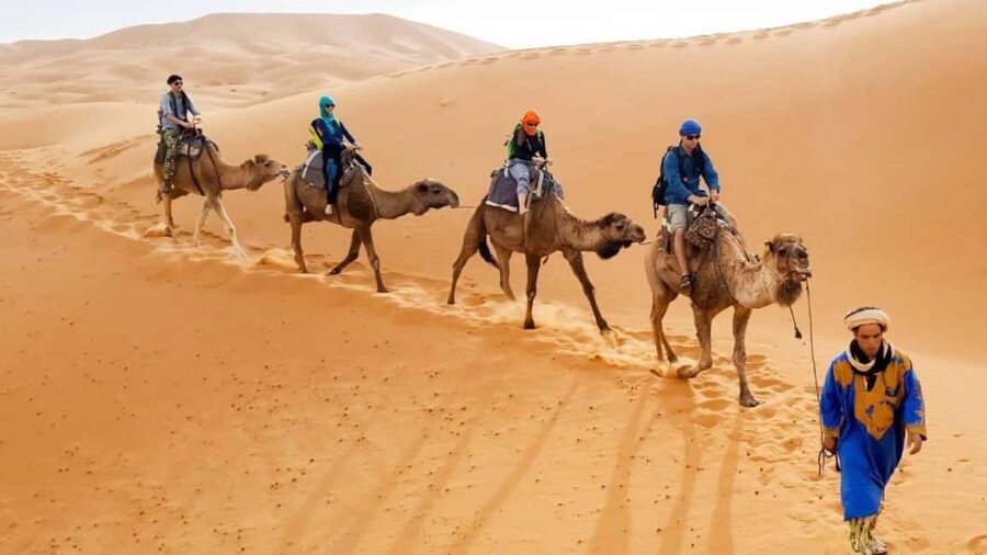 From Agadir : 4-Day Private Desert Trip to Zagora & Merzouga - Why This Tour Offers Great Value