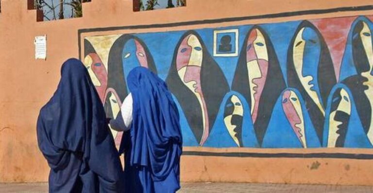From Agadir: Half-Day Tour to Taroudant - Transportation and Group Size