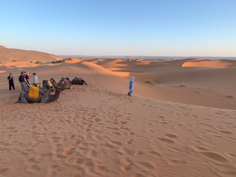 From Agadir: Jeep Desert Safari with Lunch and Camel Ride - Exploring the Massa Valley and Surroundings