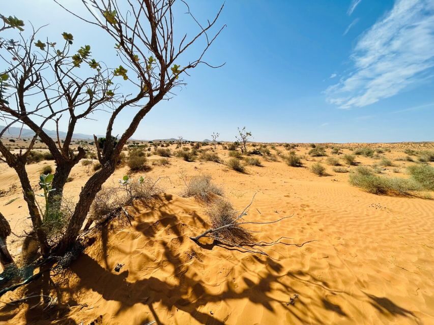 From Agadir: Jeep Desert Safari with Lunch and Camel Ride - Final Thoughts