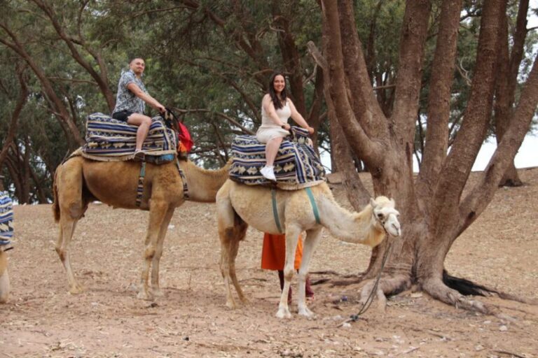 From Agadir or Taghazout: Camel Ride Tour & Flamingos Watch - A Detailed Look at the Experience