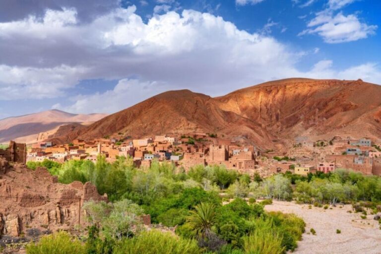 From Agadir or Taghazout: Paradise Valley Natural Atlas Tour - What’s Included and Practical Considerations