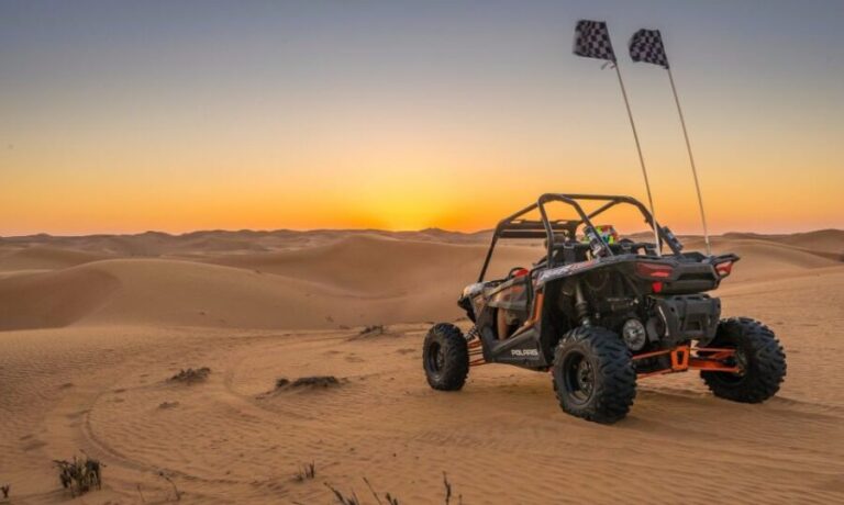 From Agadir: Sahara Desert Buggy Tour with Snack & Transfer - The Experience Provider: What MIZIZIL Tour Offers