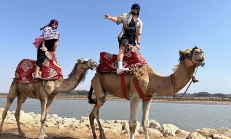 From Agadir: Souss River Camel Ride - The Experience in Detail