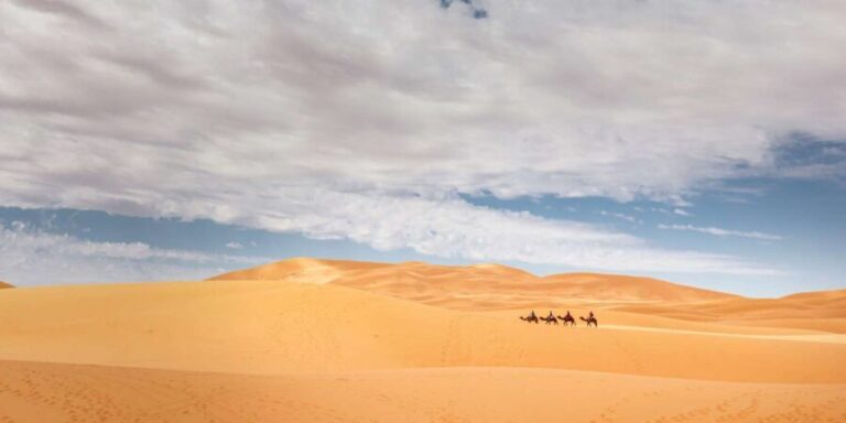 From Agadir/Taghazout: Sahara Sand Dunes with Transfer - What Makes This Tour Special